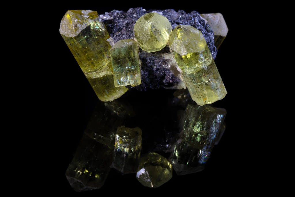 Yellow gemmy apatite crystals on dark matrix from Mexico with reflection.