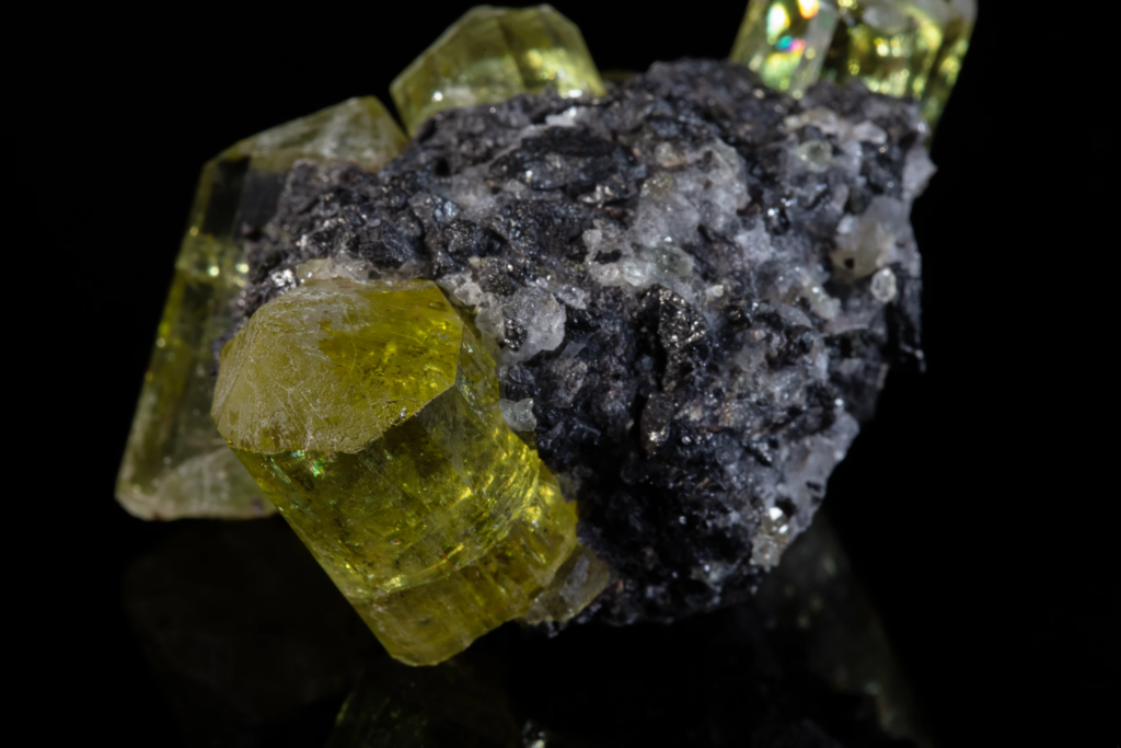 Angled view of a yellow apatite crystal on dark matrix from Mexico.