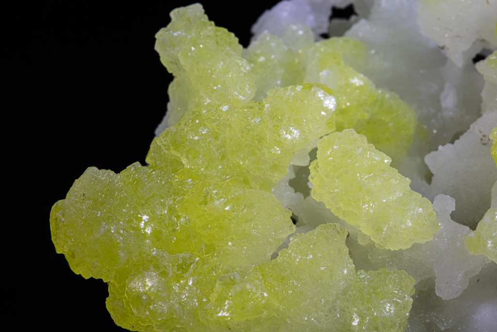 Close-up of finger-like yellow brucite clusters from Pakistan.