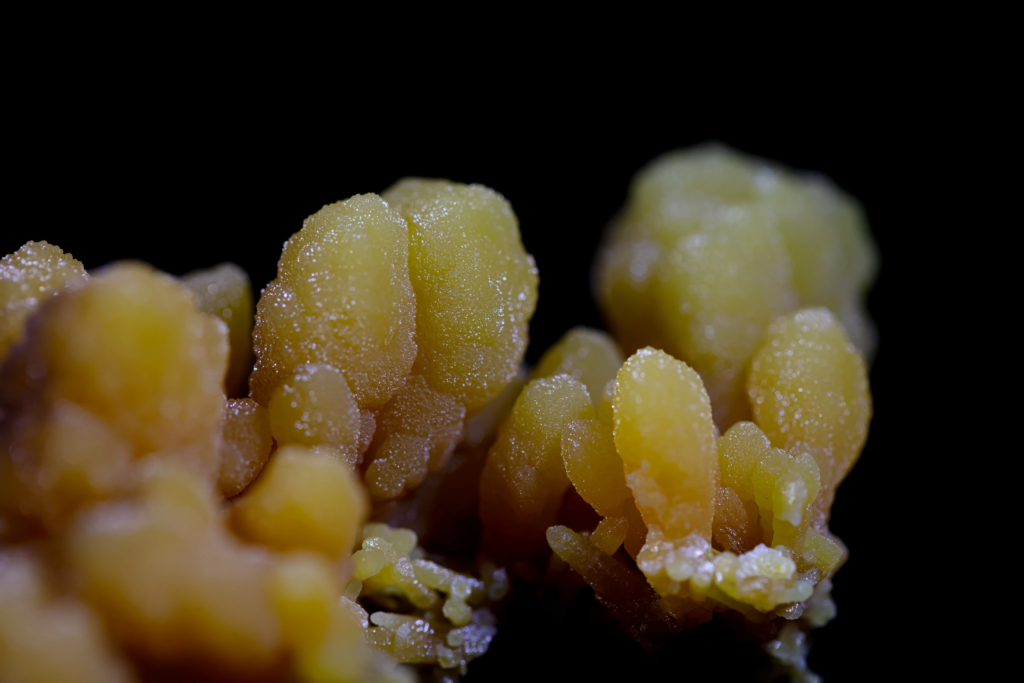 Mimetite