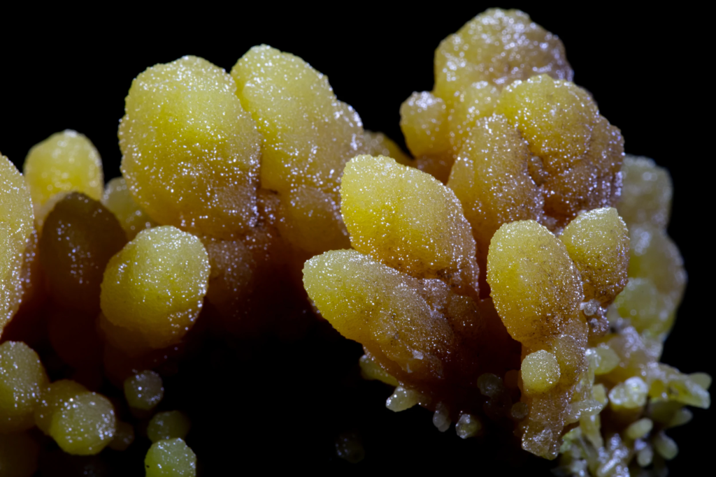 Mimetite