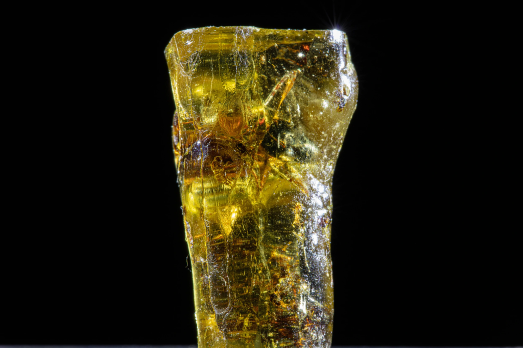 Yellow amber specimen from Dominican Republic with an internal fossil inclusion.
