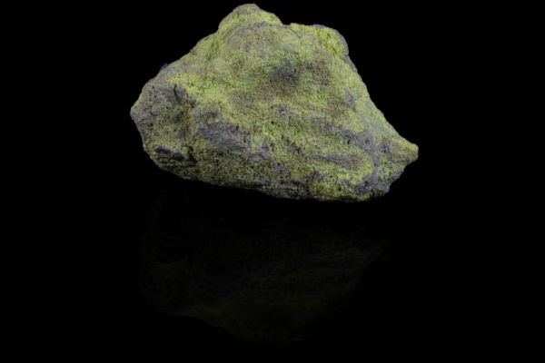 Bright yellow carnotite crust on matrix from the USA with reflection.