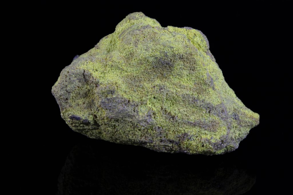 Bright yellow granular carnotite specimen from the USA against black background.