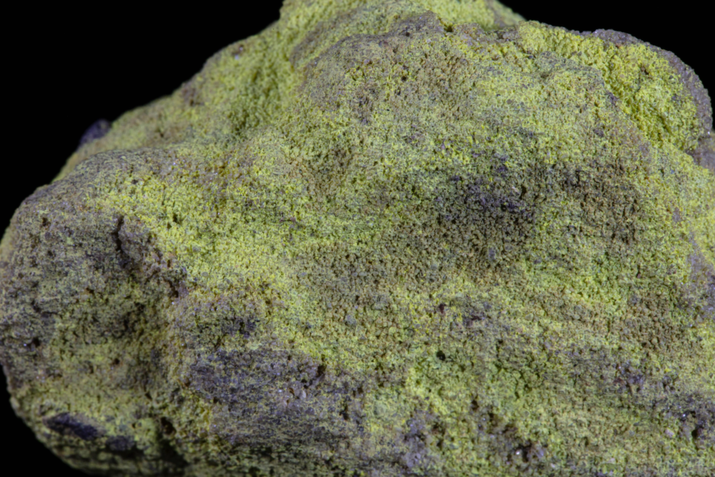 Macro photograph of powdery yellow carnotite mineral texture from the USA.