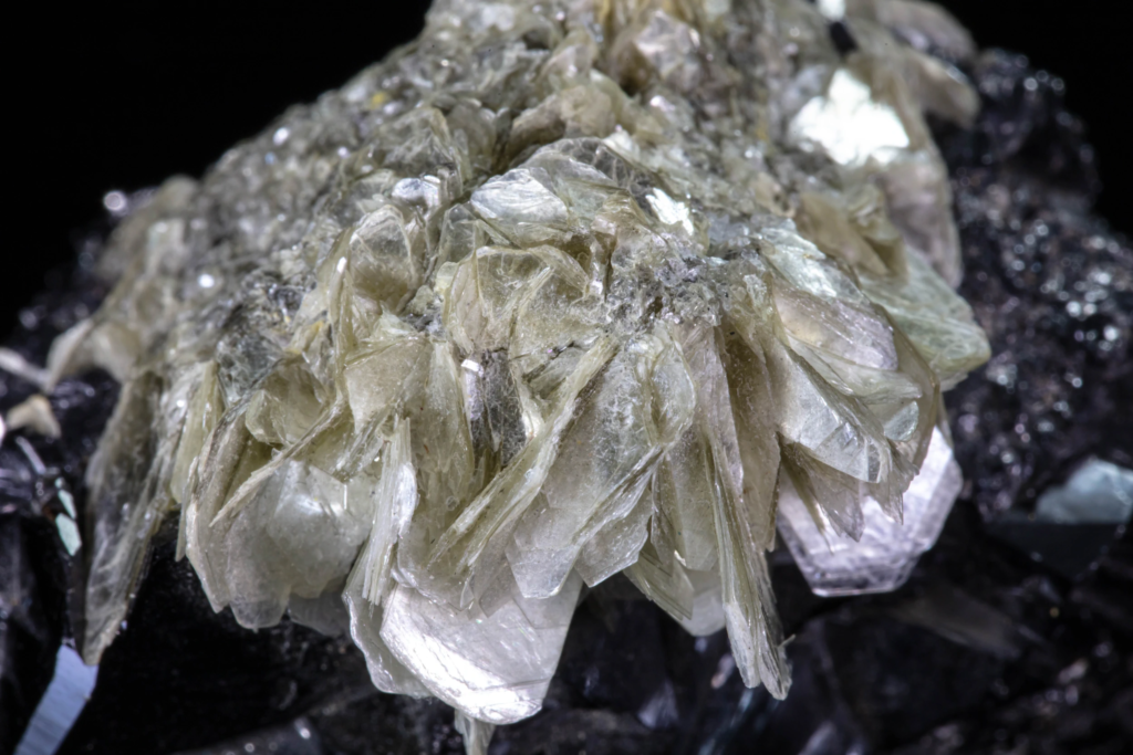 Extreme macro of translucent muscovite mica blades on dark cassiterite matrix.