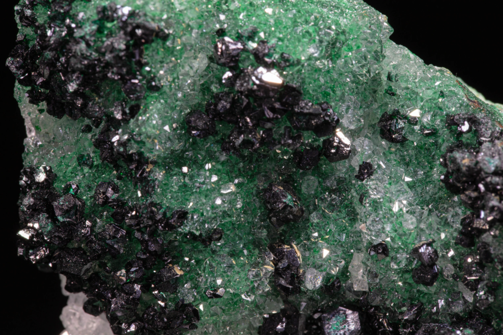 Clinoatacamite on Quartz