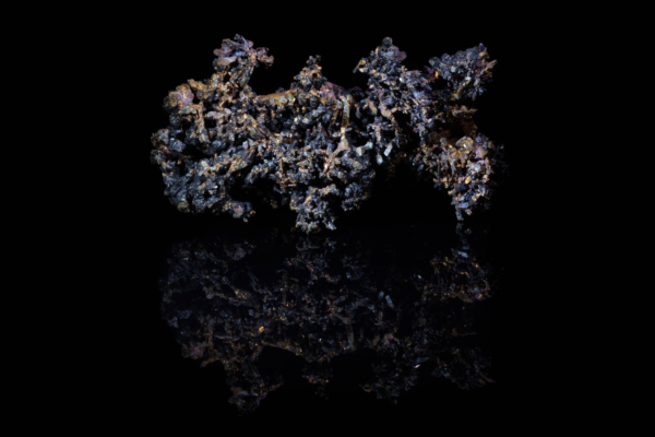 Dendritic native copper cluster with dark cuprite crystals and mirror reflection.