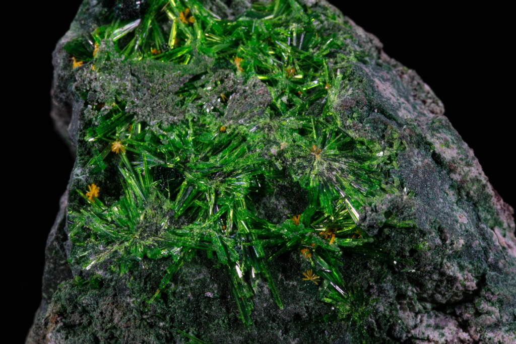 Macro shot detailing sharp green cuprosklodowskite needles and yellow crystals.
