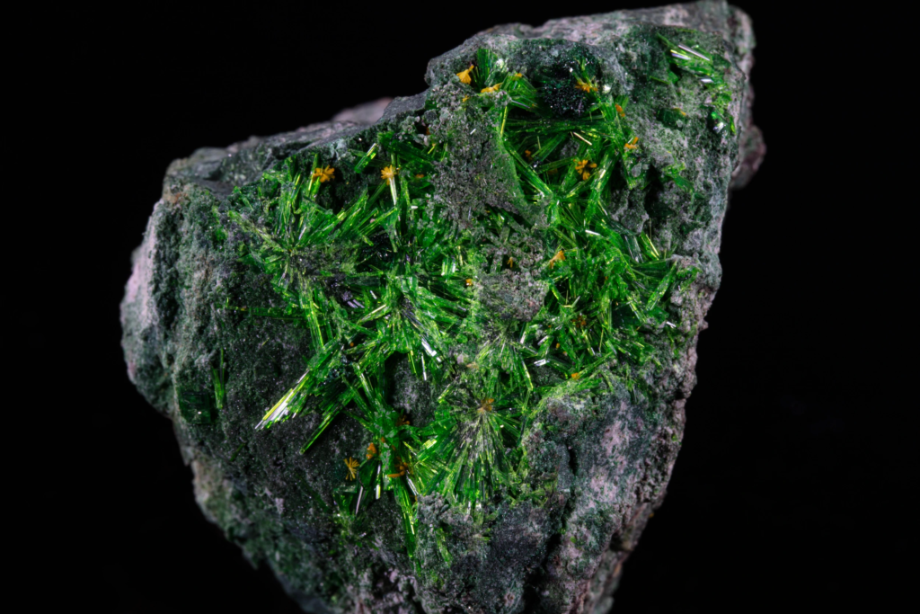 Alternative close view of glowing green cuprosklodowskite needle aggregates.