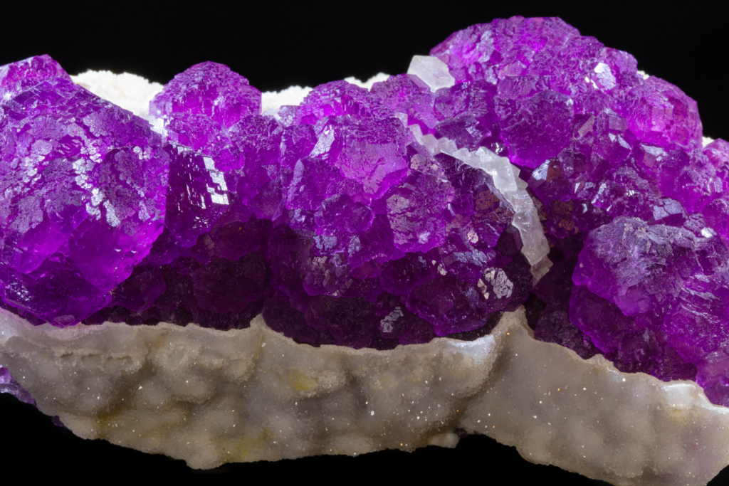 Detailed macro of purple fluorite crystals meeting white botryoidal matrix.