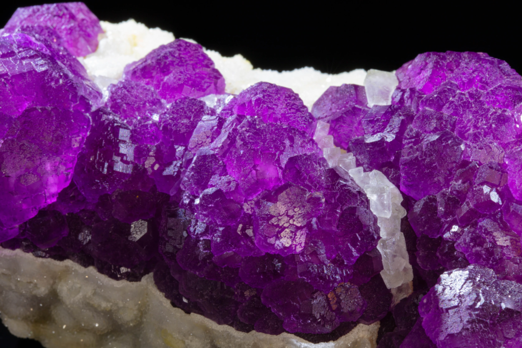 Macro view of purple fluorite crystals with a white calcite vein.