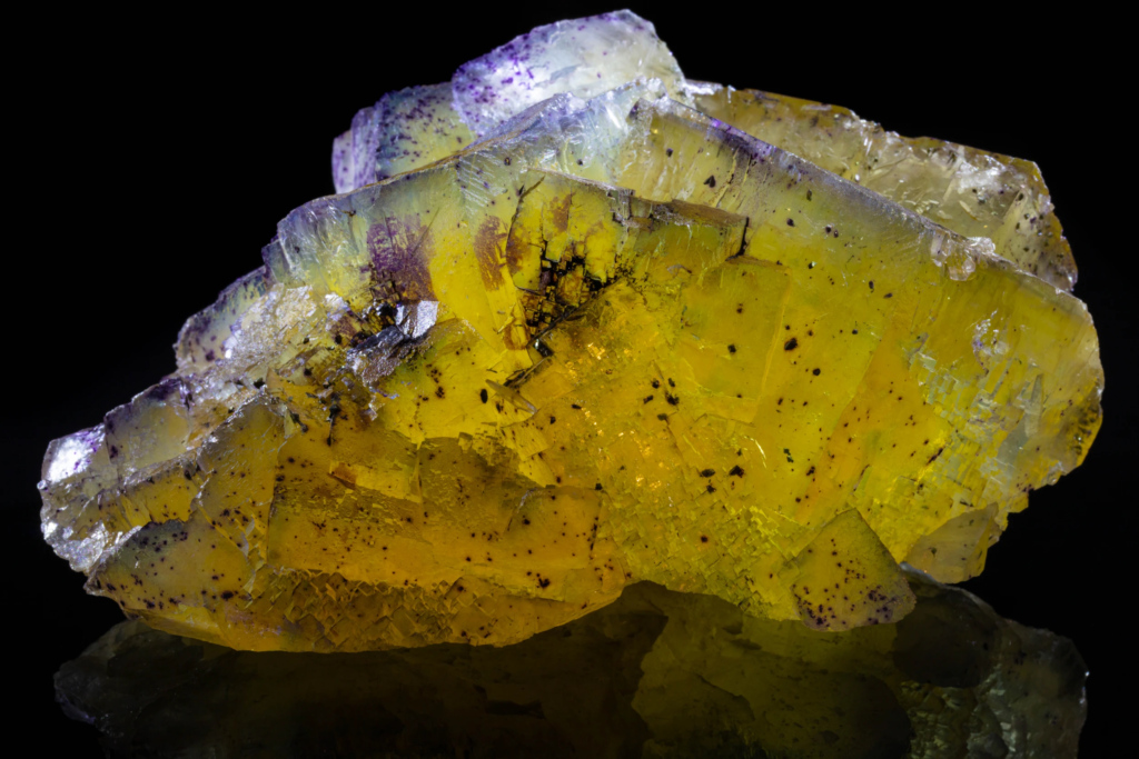 Full front view of translucent yellow fluorite cubes with purple edges.