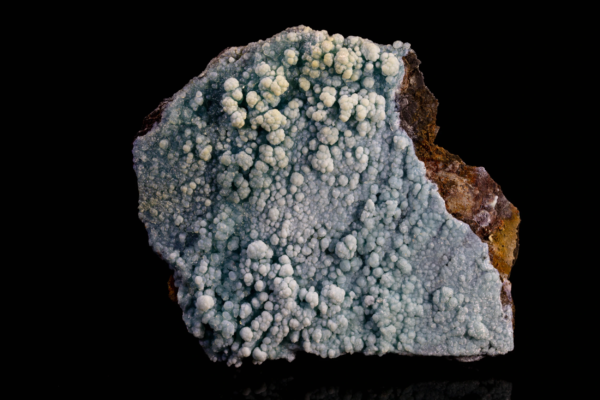 Light blue botryoidal gibbsite crust coating a dark brown matrix.