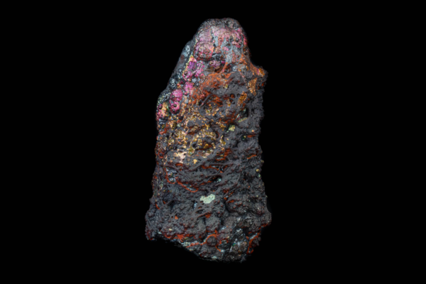 Elongated iridescent botryoidal goethite specimen from Spain against black.