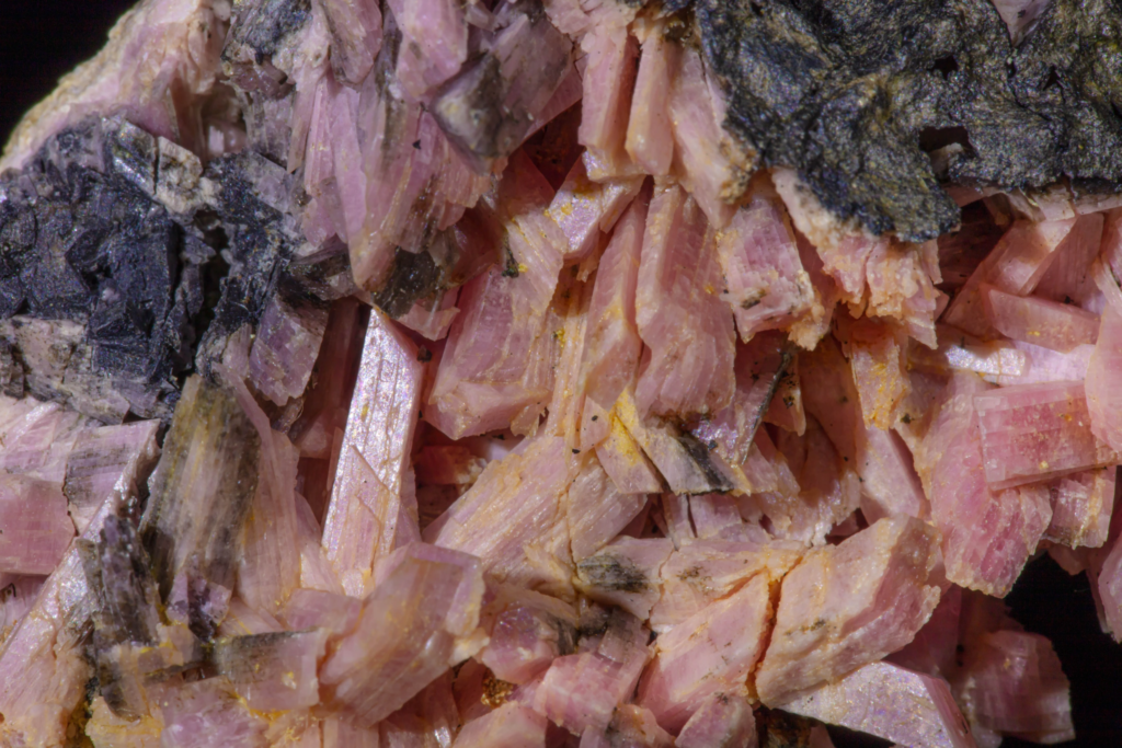 High magnification macro of interlocking translucent pink inesite crystal laths.