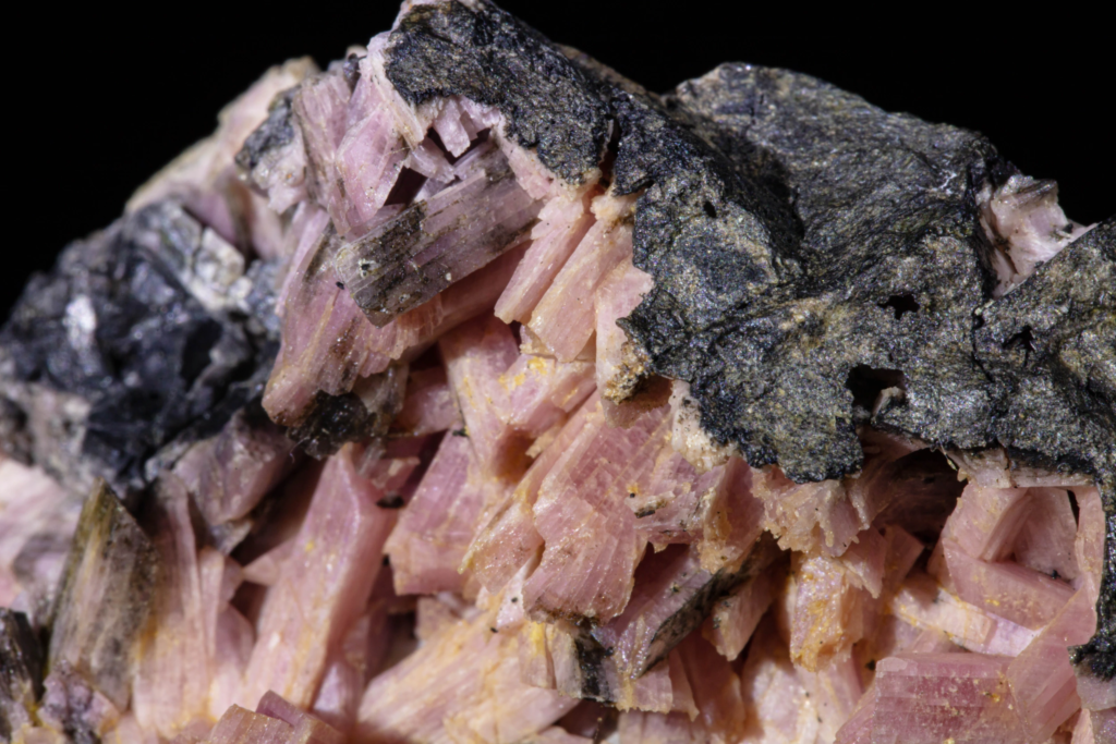 Detailed macro of pink inesite crystals meeting dark rock matrix.