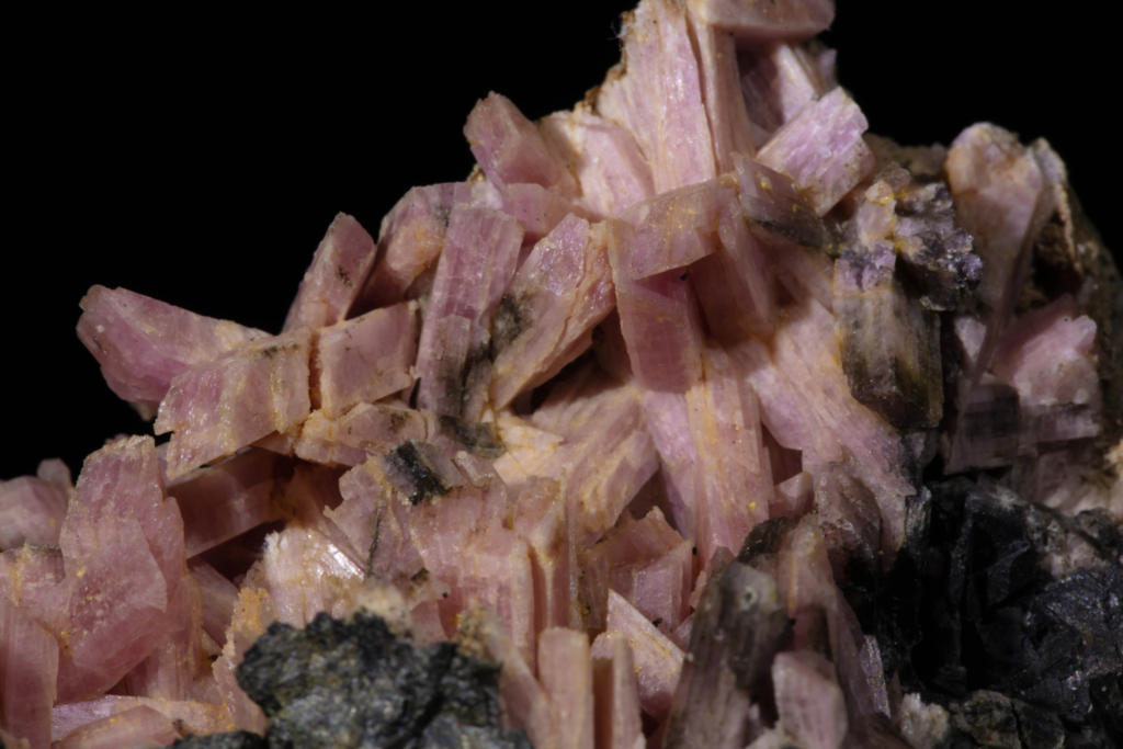 Macro of sharp pink inesite crystal terminations protruding from matrix.