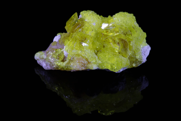 Bright yellow jouravskite crystals on white xonotlite matrix with reflection.