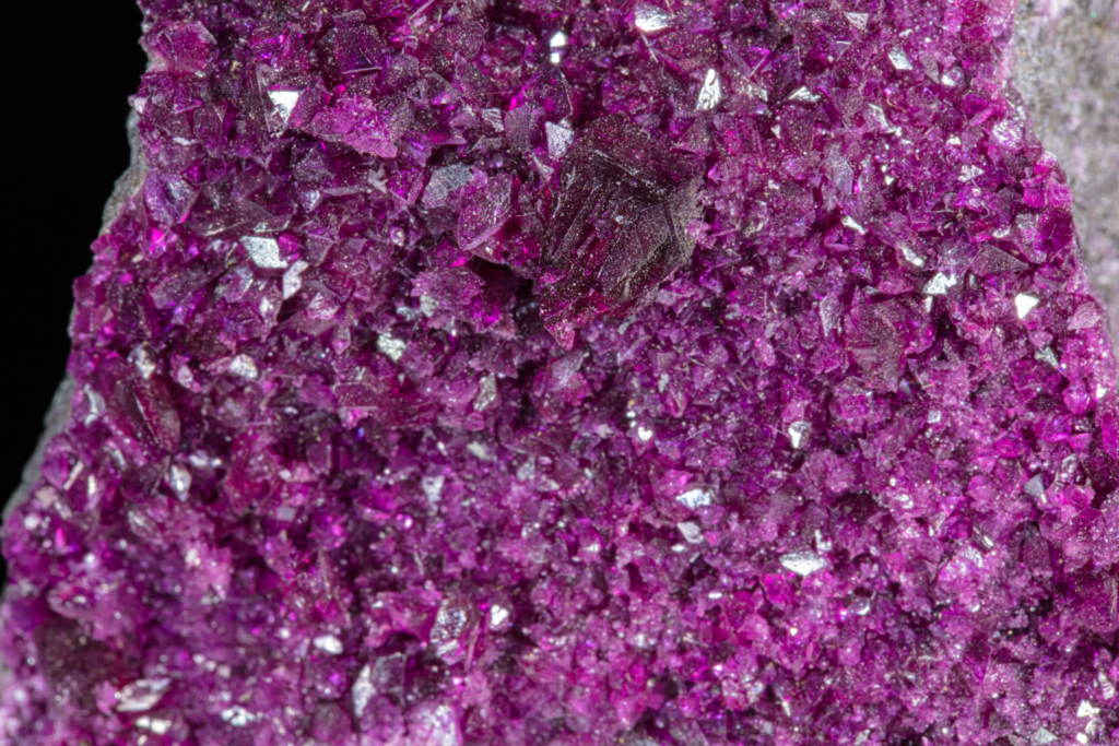 Macro photograph detailing interlocking micaceous purple kammererite crystal structures.